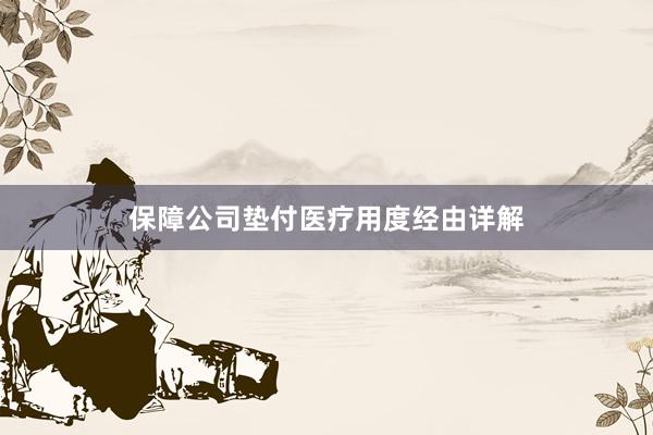保障公司垫付医疗用度经由详解